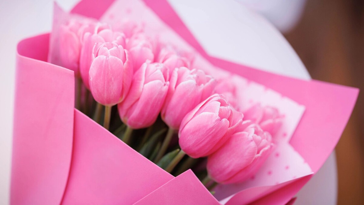    Фото: Юлия Чудинова/«Ямал-Медиа»