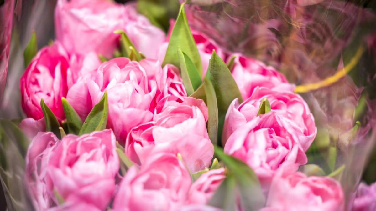    Фото: Федор Воронов / «Ямал-Медиа»