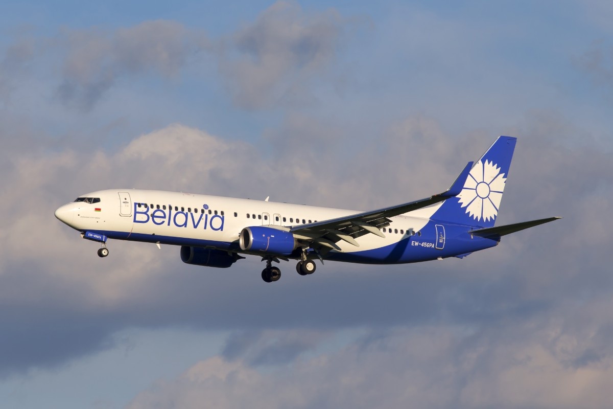    Фото: Artur Buibarov / Shutterstock.com