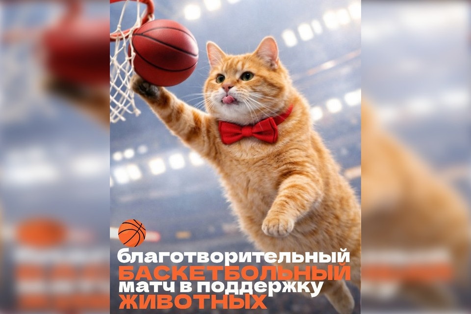    Зоозащитники вместе со своими партнерами и друзьями проведут благотворительный матч. Фото: VK/Инициативная группа по защите животных