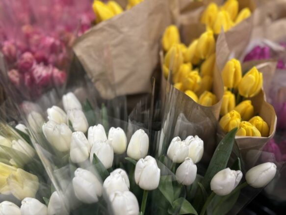 Около двух тысяч праздничных мероприятий пройдет на Кубани в честь 8 марта