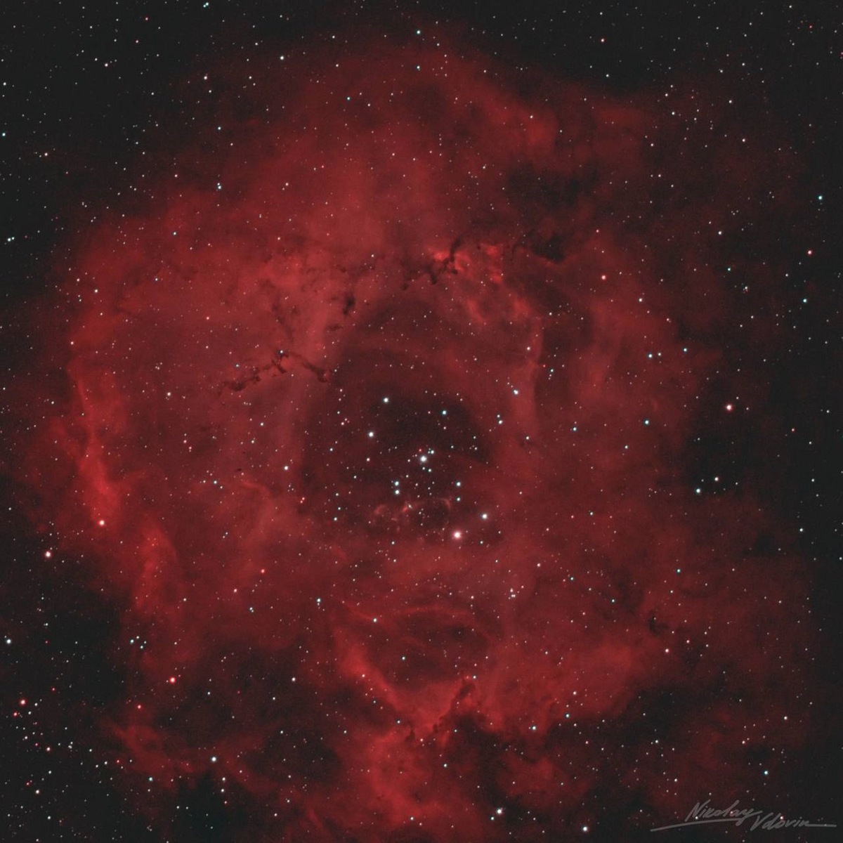    Туманность Розетка