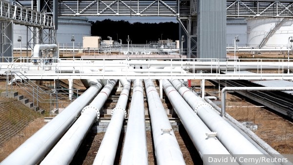     Фото: David W Cerny/Reuters   
 Текст: Дмитрий Зубарев