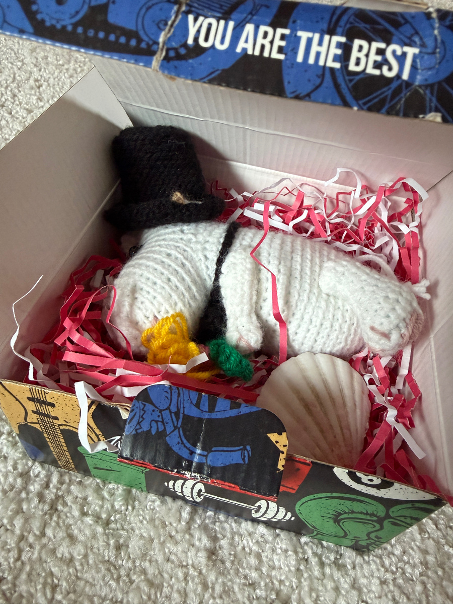 Добро пожаловать домой, дружок! 