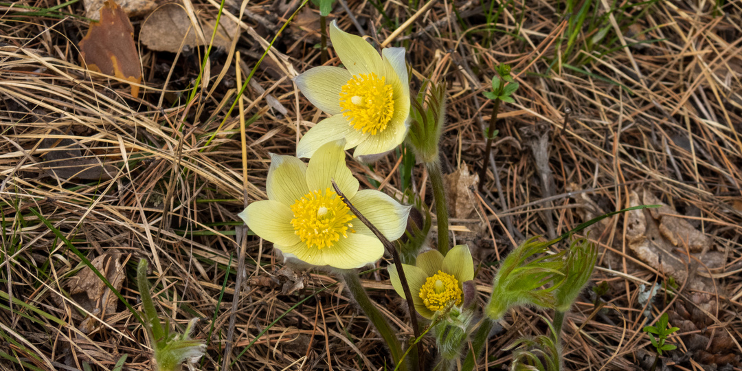 С праздником!