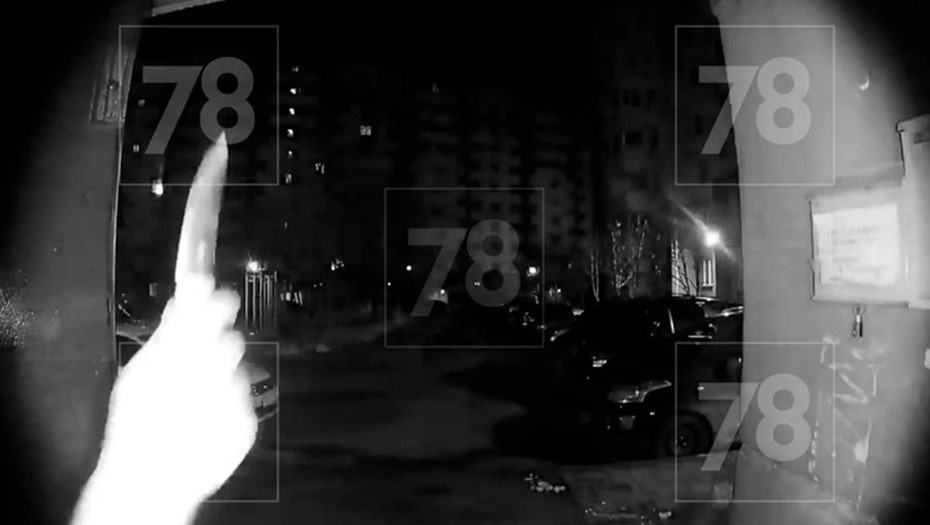    Автор фото: 78.ru