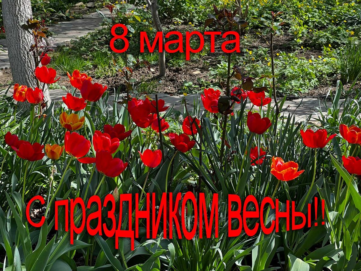 С праздником