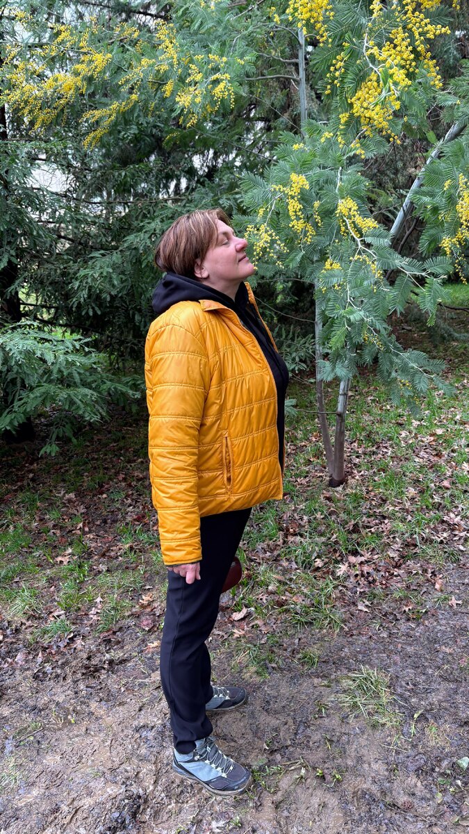 Обожаю мимозу