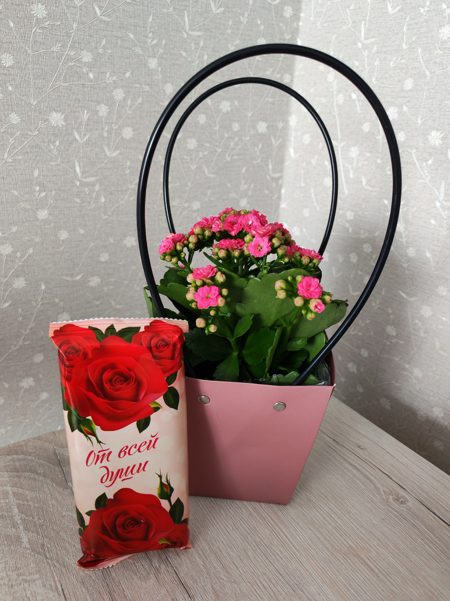 Личное фото автора канала