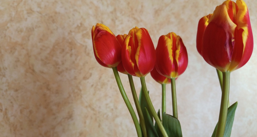    Фото редакции