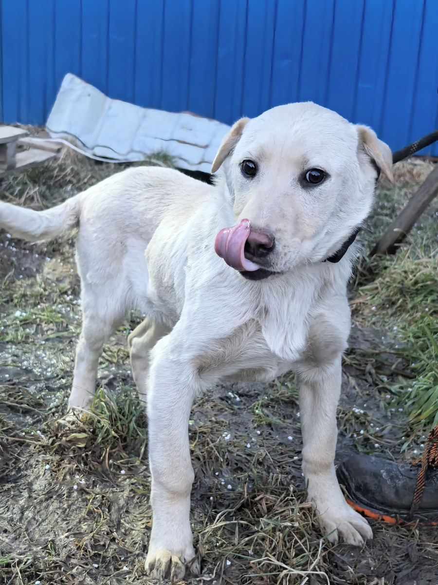 Мальчик Васяня