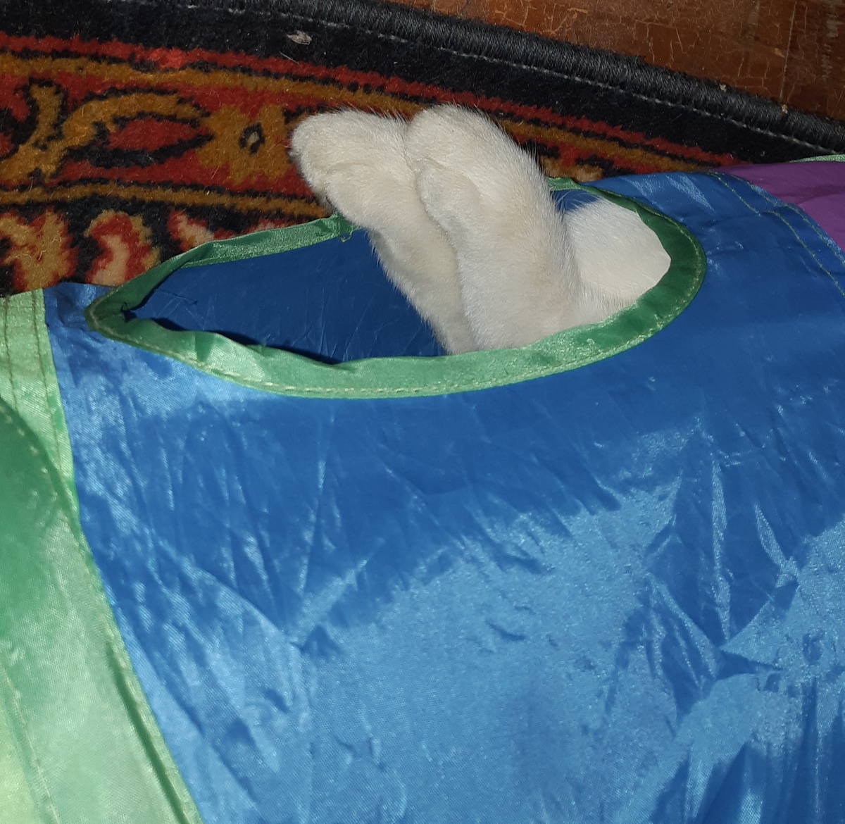 Небесный Кот несёт величье. Он повергает разум мой В то грандиозное безличье, где места нет земле родной. Я мысленно уйду в те дали Где старый друг, Кометный Кот Сверкающим хвостом из стали Меня обхватит за живот. Там космос холодом укроет.. Но я воскликну:" Котья Мать! Сегодня же восьмое марта, мне надо кошек поздравлять!"