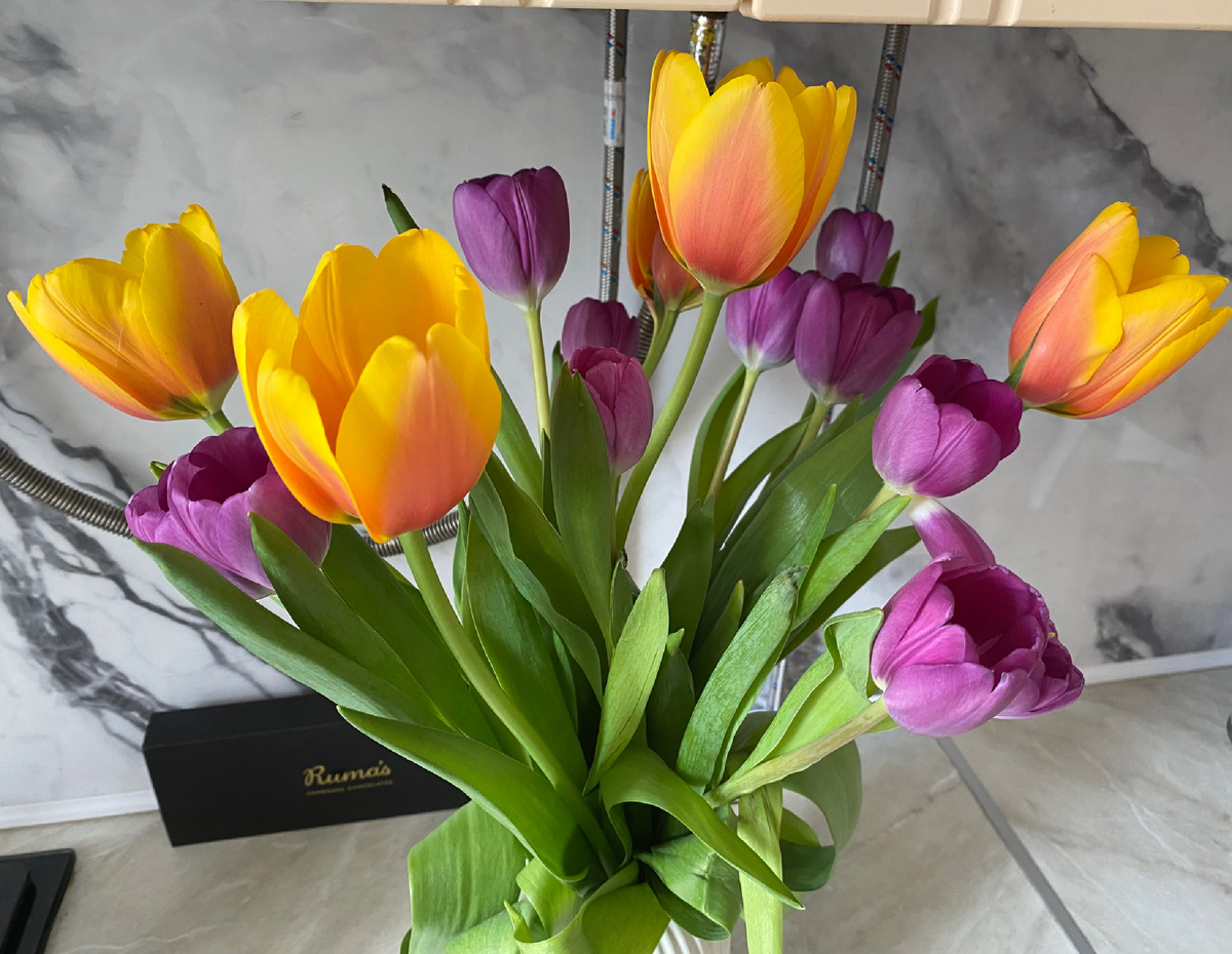 Это сегодня на моей кухне❤️