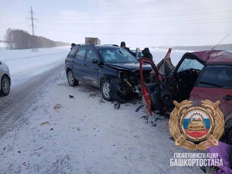     Фото Госавтоинспекции Башкирии
