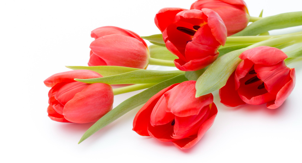 С 8 Марта, дорогие и прекрасные! Пусть этот день будет наполнен светом и улыбками!