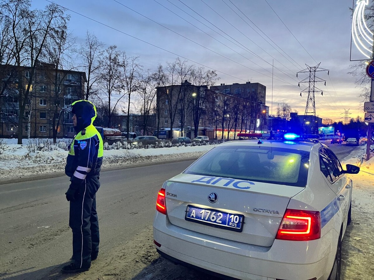    Фото: ГАИ Петрозаводска