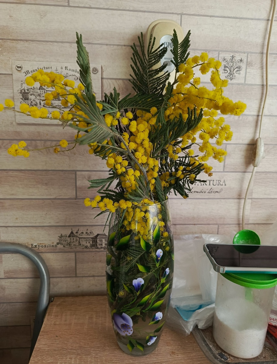 Личное фото автора из архива, 2025г