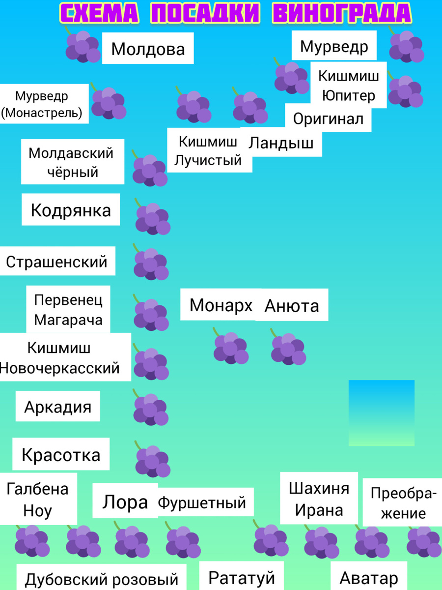 В одном дворе