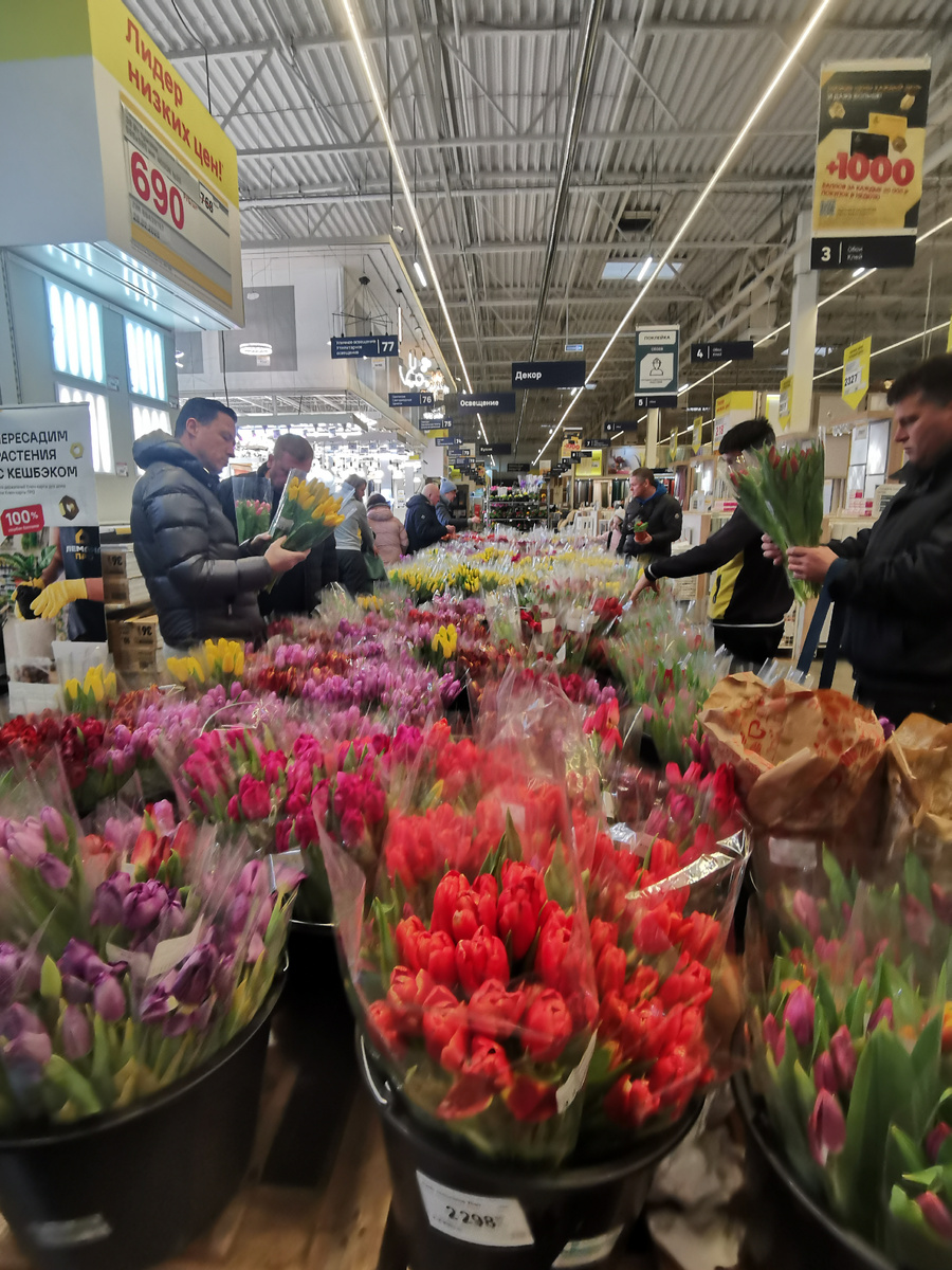 Тюльпаны на удивление приличные! Галерея, листайте...