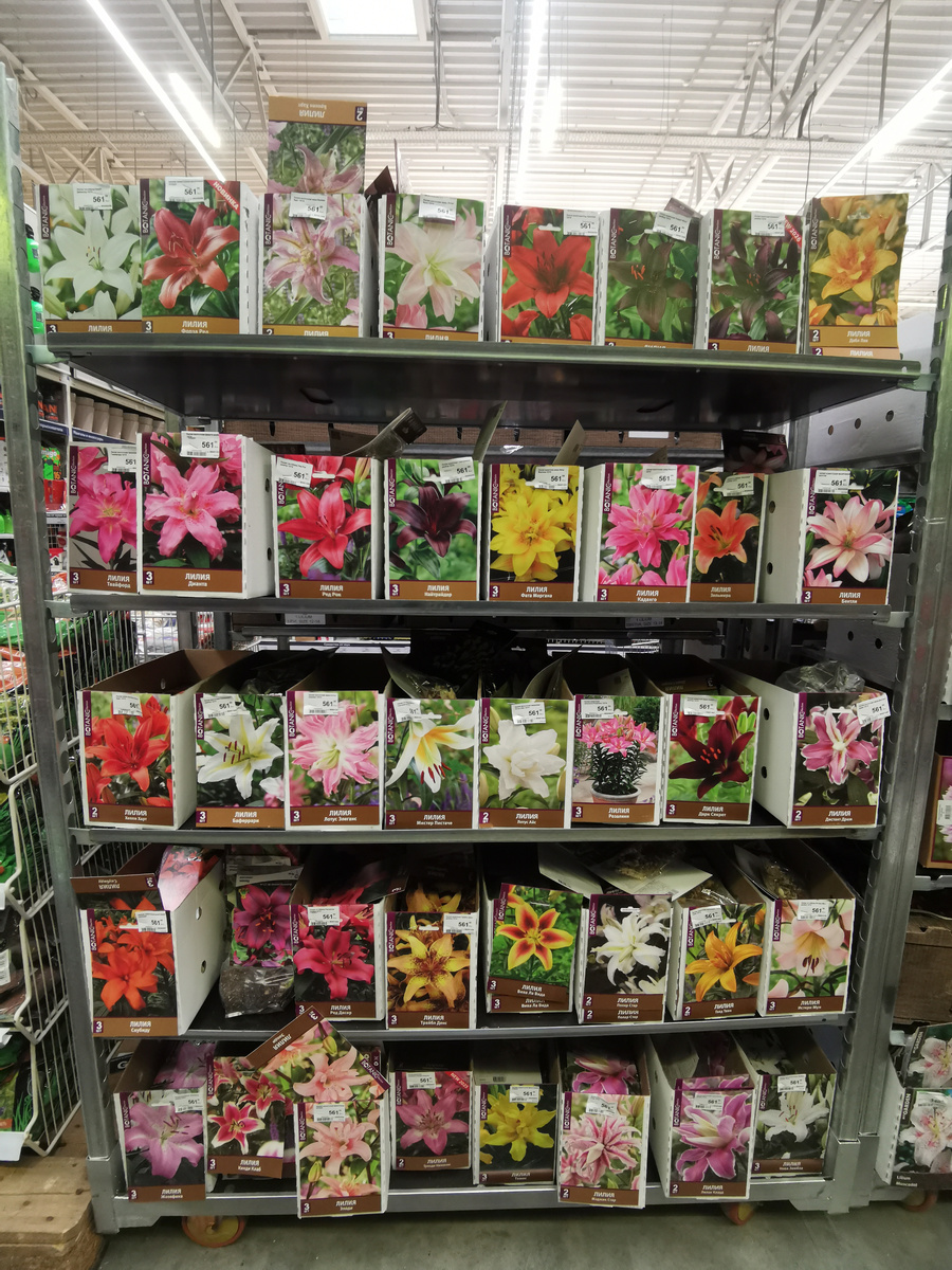 Другие стеллажи - далее, в гелерее, листайте...