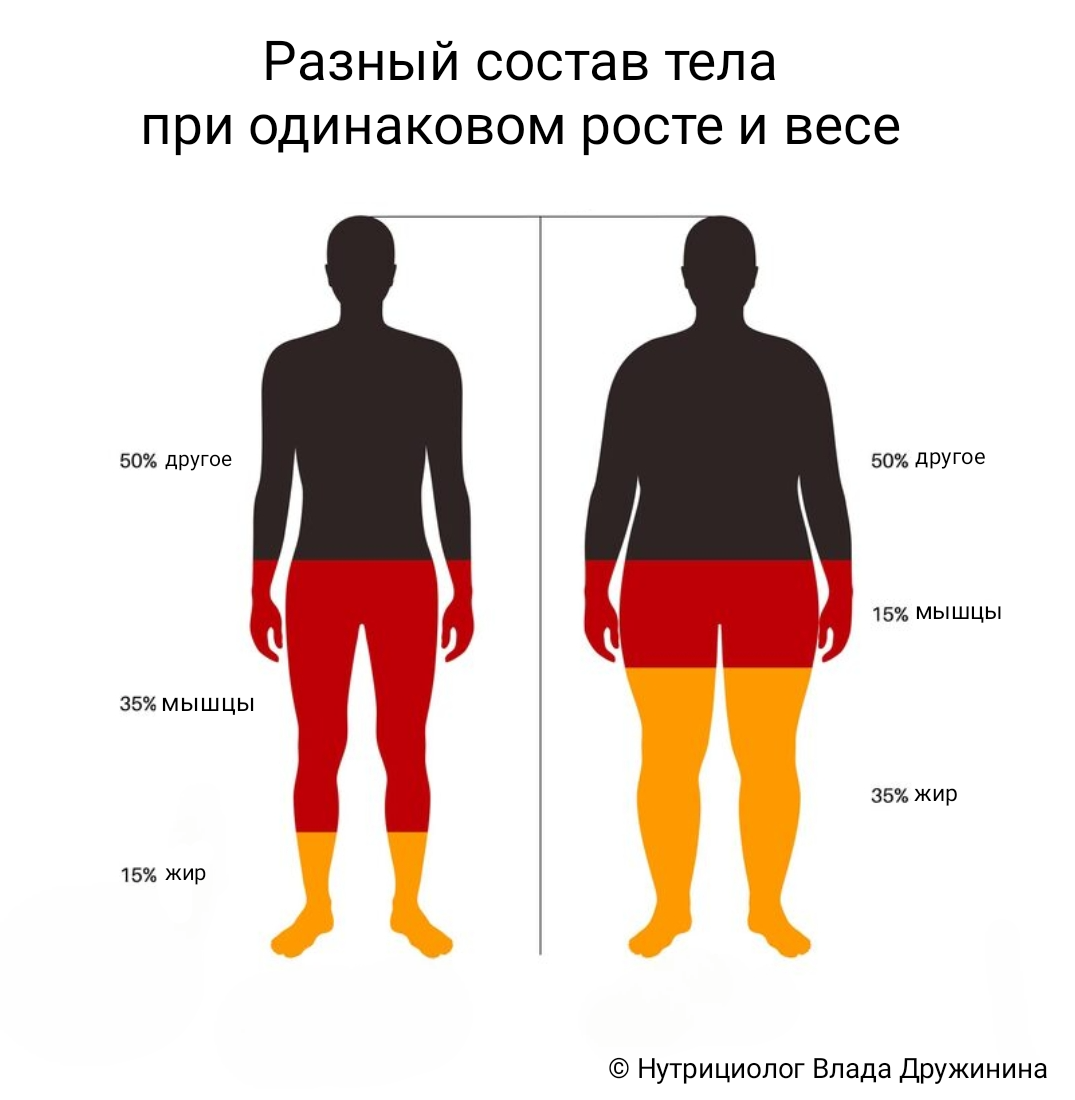 Анализ состава тела при одинаковом росте, весе и ИМТ