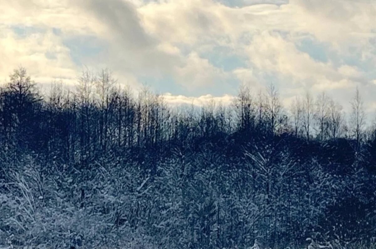    Над Тульской областью днём 8 марта уничтожили 13 БПЛА