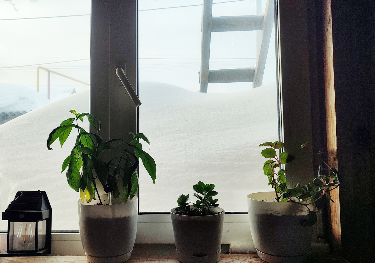 Наш вид из окна