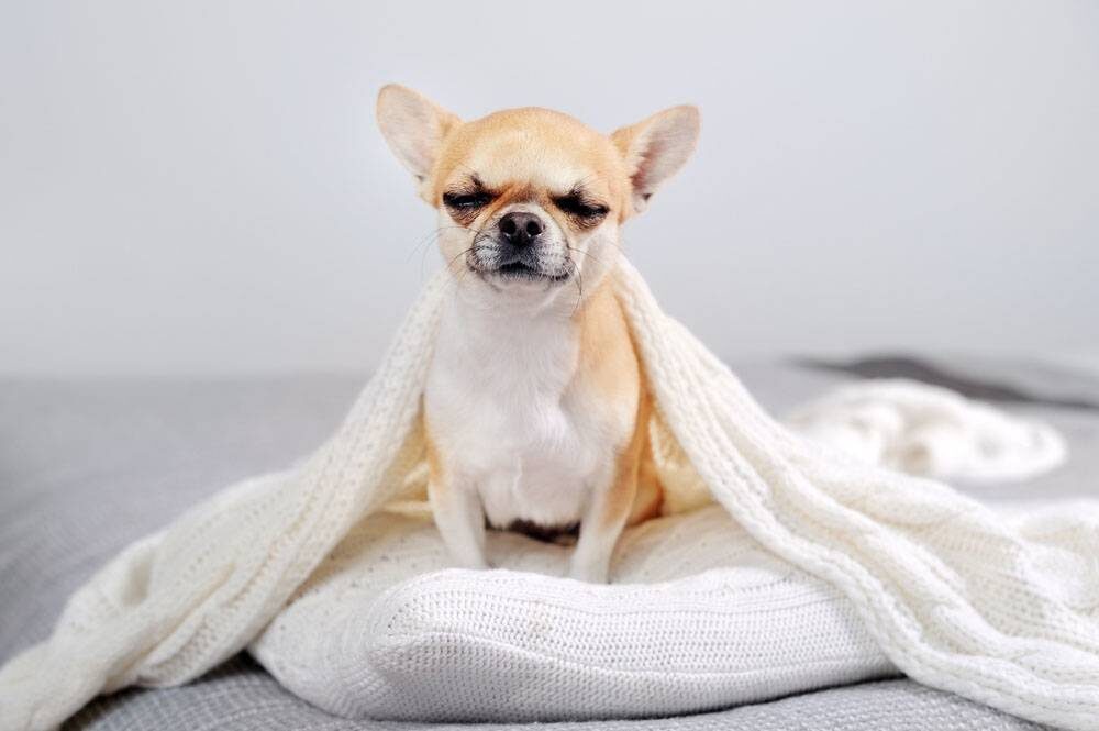 Фотография из интернета