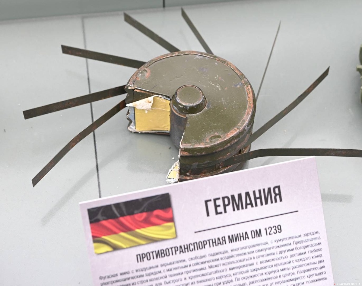     Противотранспортная мина DM 1239 (Германия)   
Иван Лазебный © ИА Красная Весна