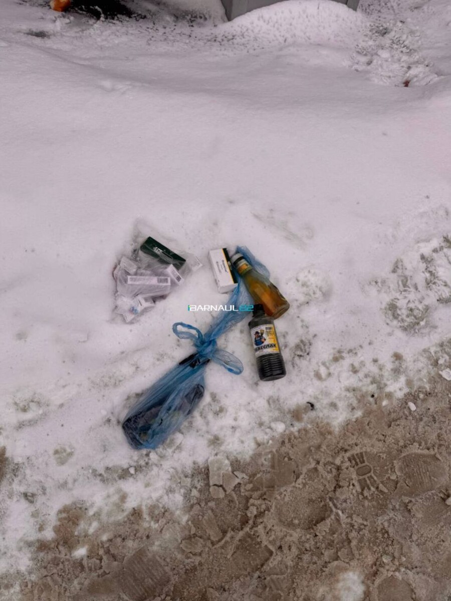    Мусор, выброшенный на авто в Барнауле. Источник: Barnaul 22