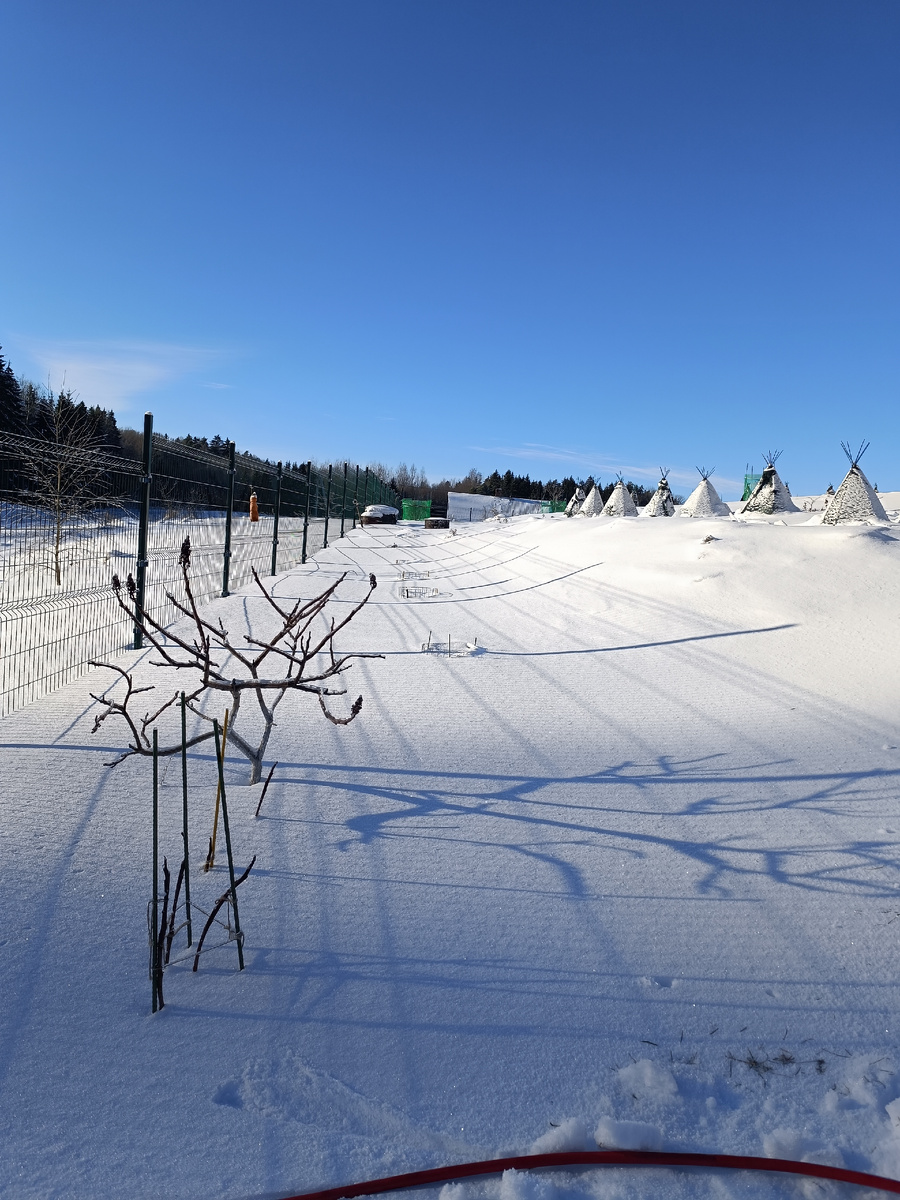 Что бы было