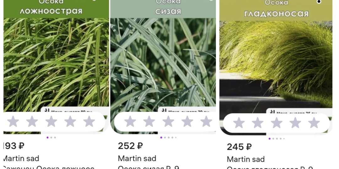 Получила растения с Wildberries : ожидания и впечатления