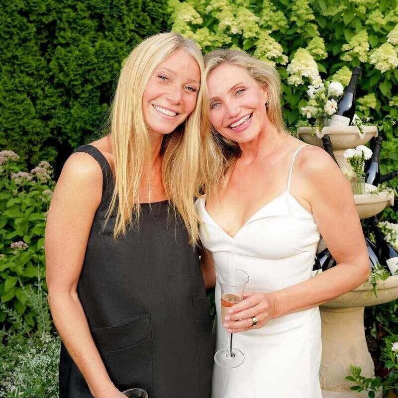     Гвинет Пэлтроу и Кэмерон Диаз поставили карьеру на паузу