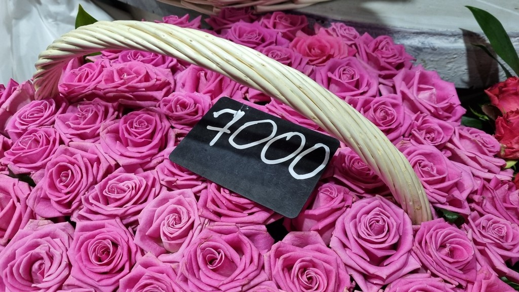    Фото © Анастасия Романова / Абзац