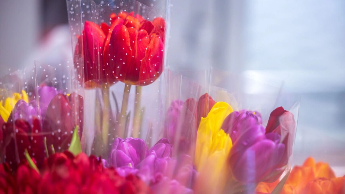    Фото: Федор Воронов/«Ямал-Медиа»