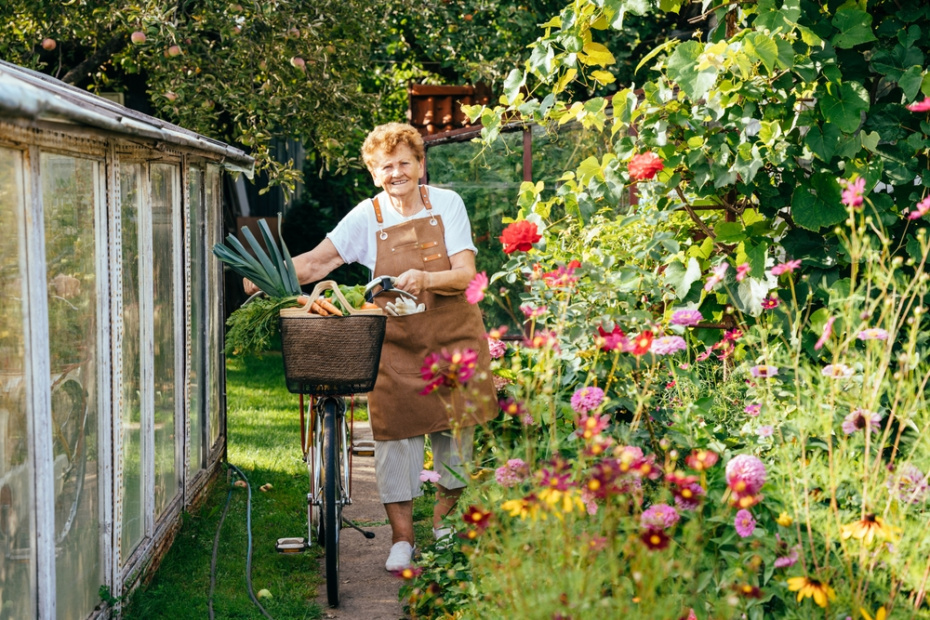    Shutterstock/FOTODOM