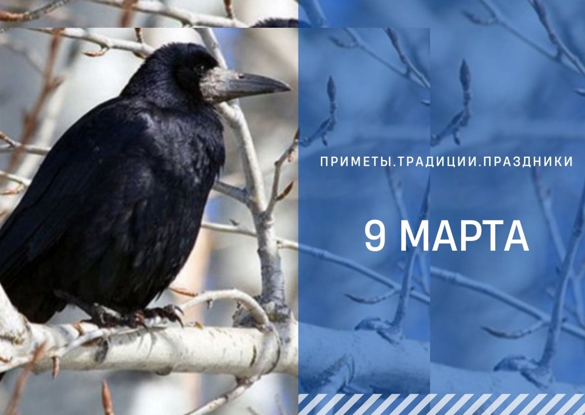   ГТРК "Ставрополье"