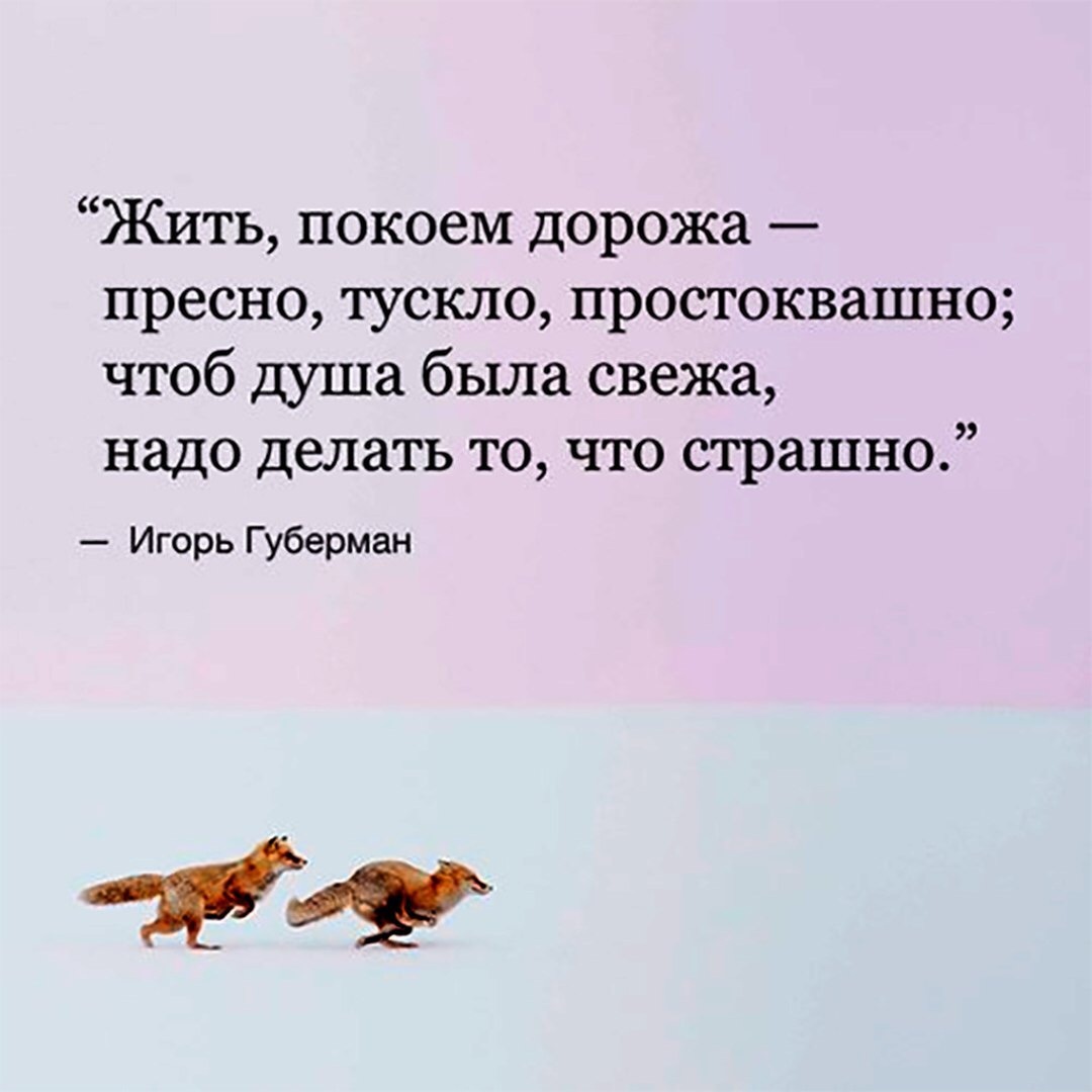 Из открытого доступа. Строки, идеально подходящие к моей жизни )))