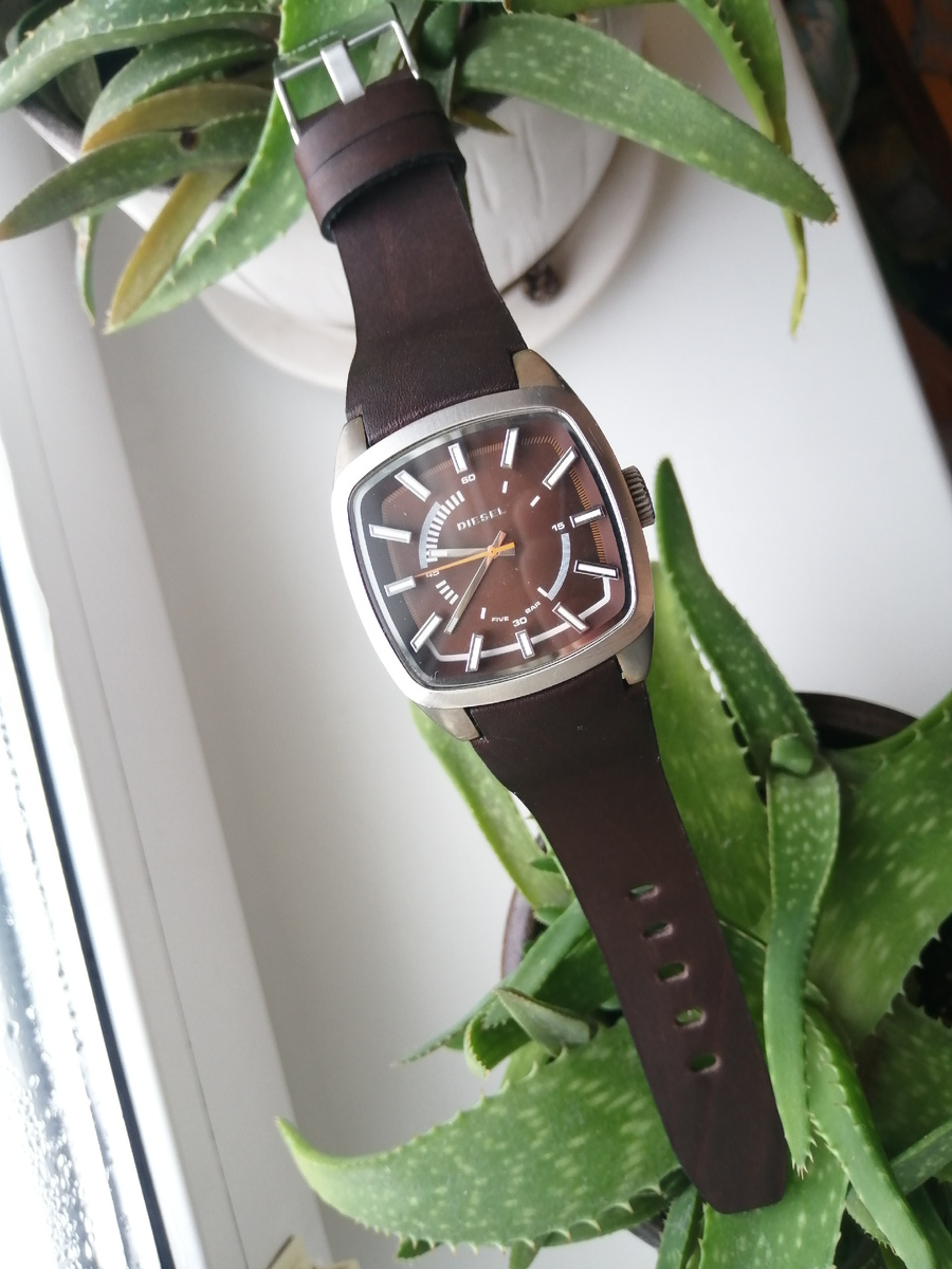 Фотографии автора 