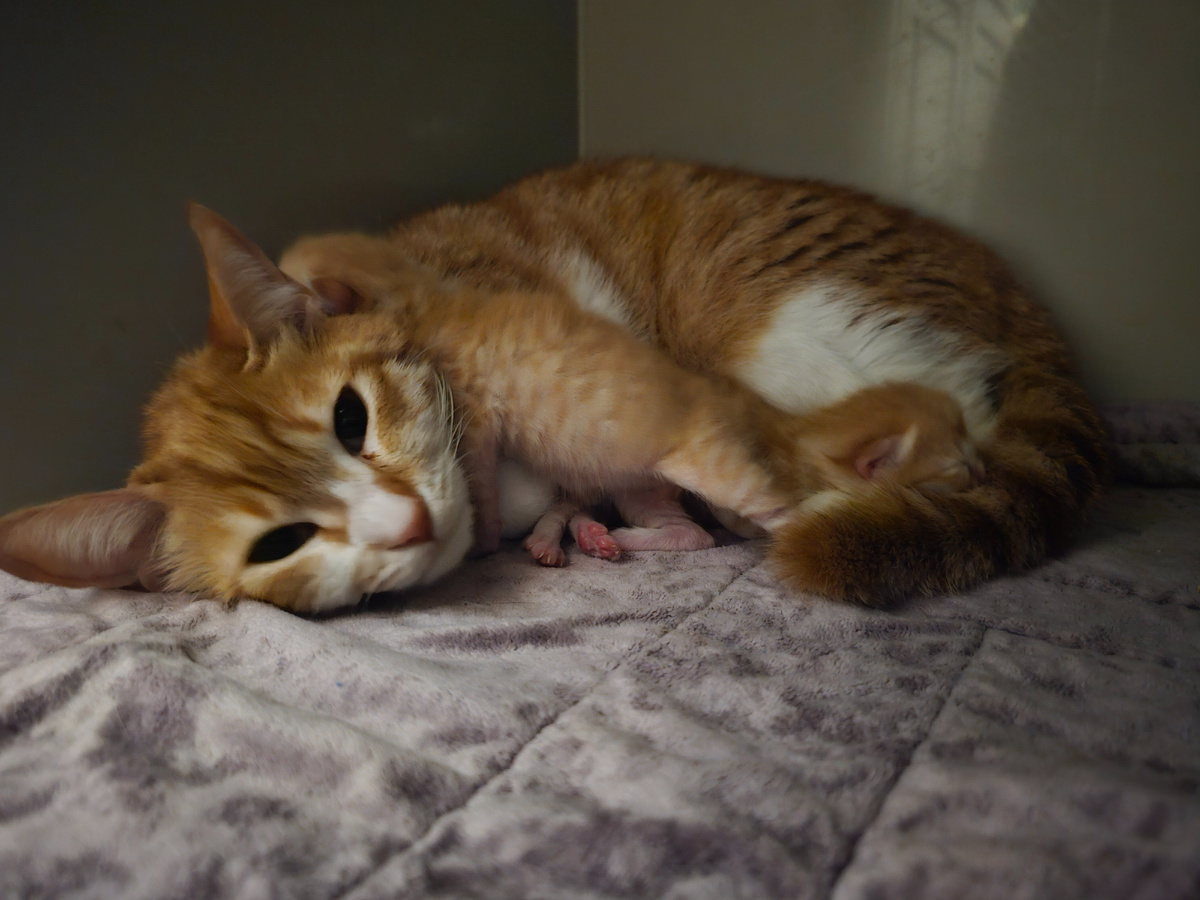 Фото автора. С праздником весны!