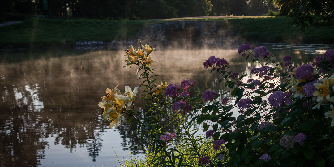 В день Весны, Красоты и Вдохновения!