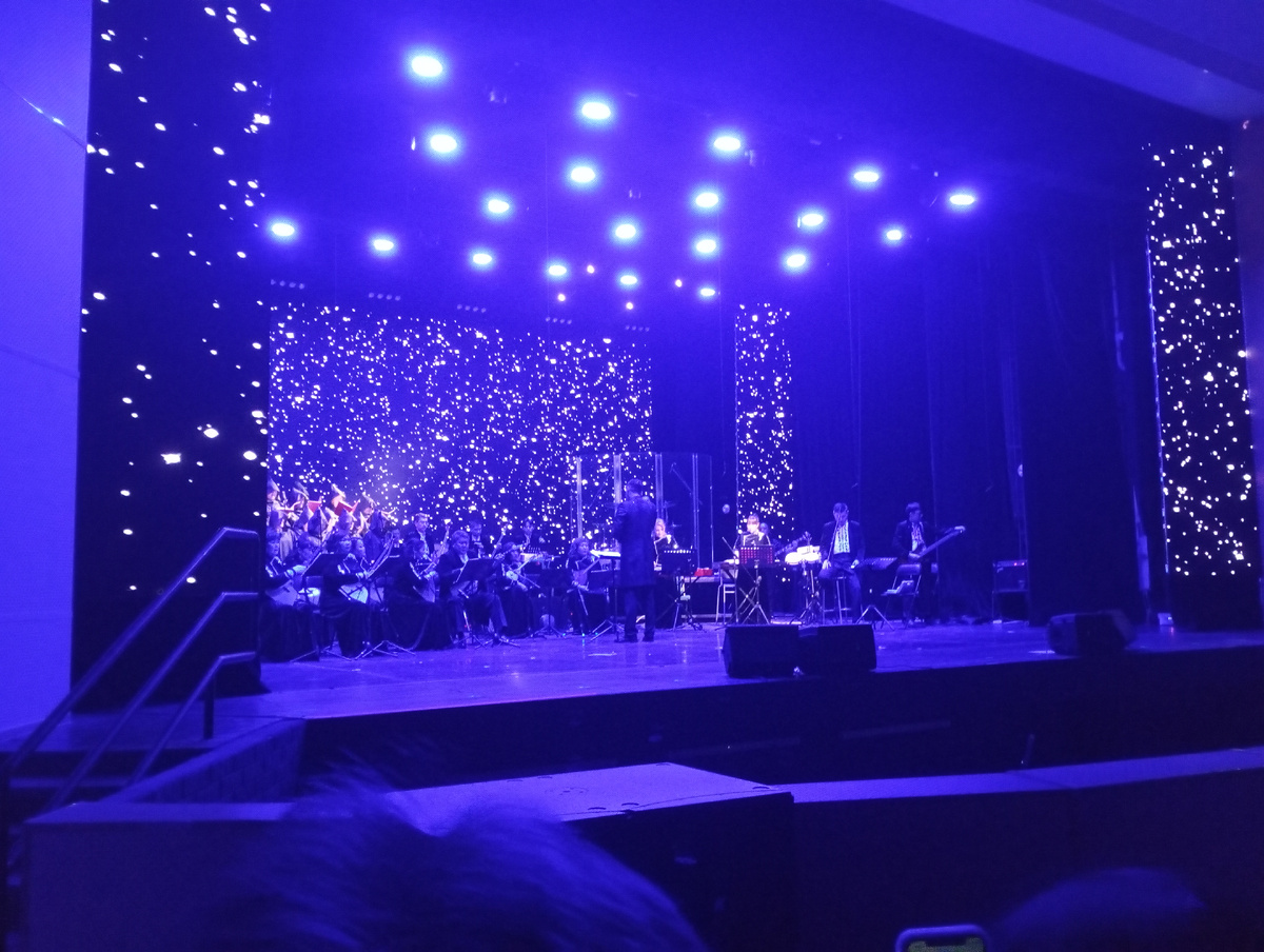 Фото из зала.