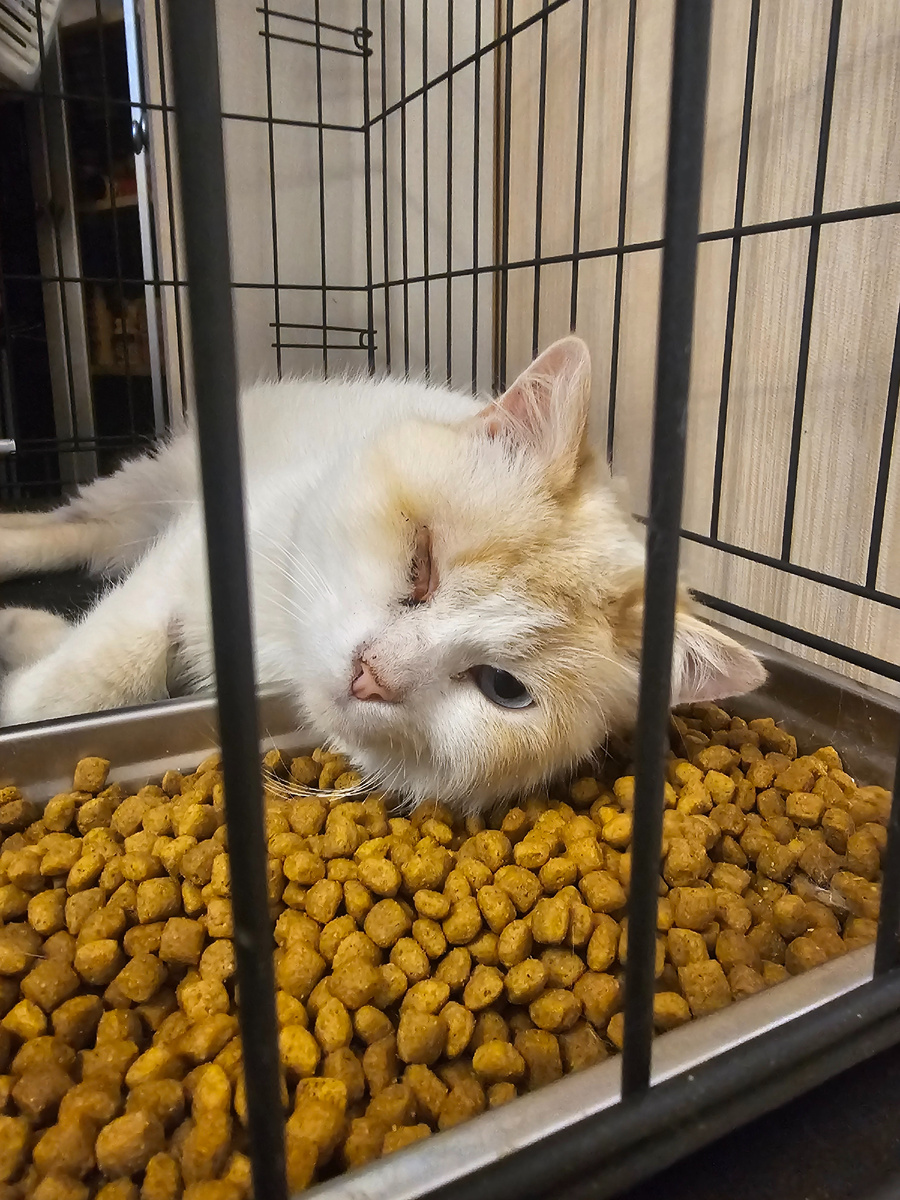 Фото автора. С праздником!