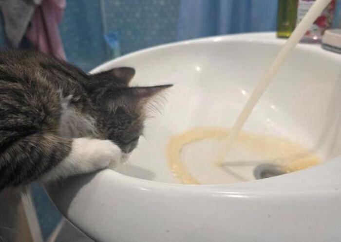 Иллюстрация: © «Панорама»