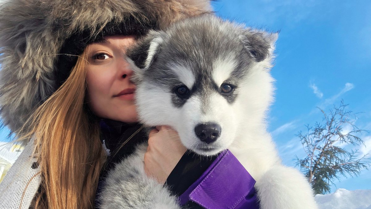 Удивительного цвета щенок! Он буквально серебряный! Нежный, как облака 😍