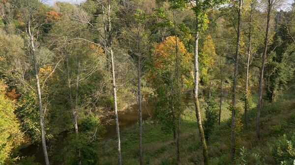    CC BY 2.0 / Juozas Šalna /