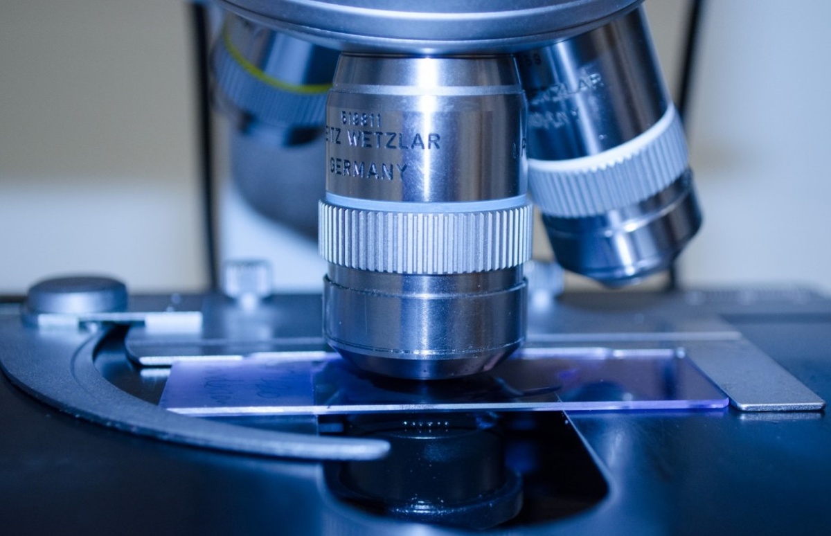    Учёные обнаружили 200 метаболических ферментов в ядре человеческих клеток