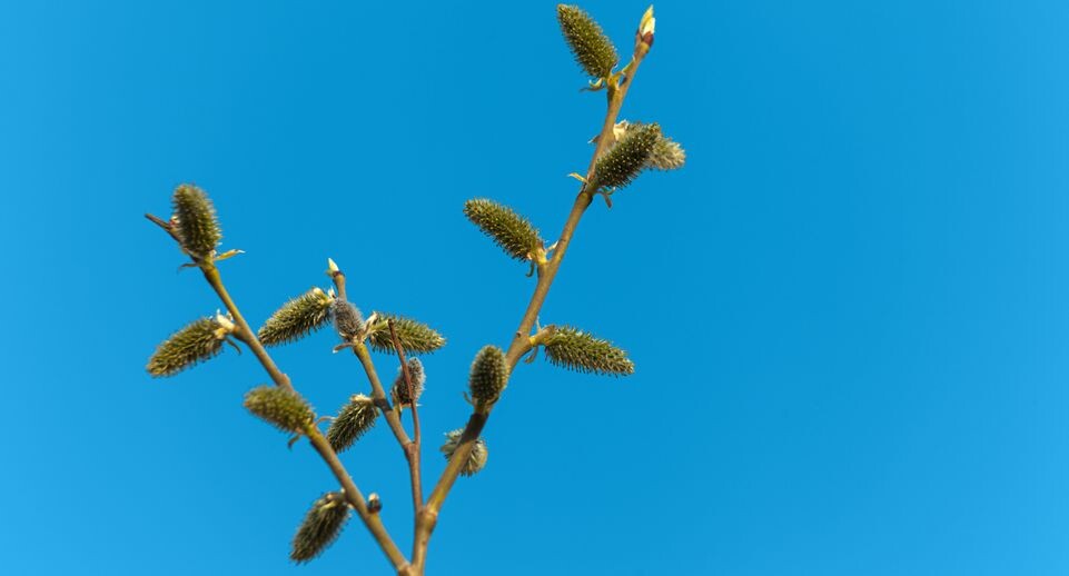    Весна в городе Дзержинский / Медиасток.рф
