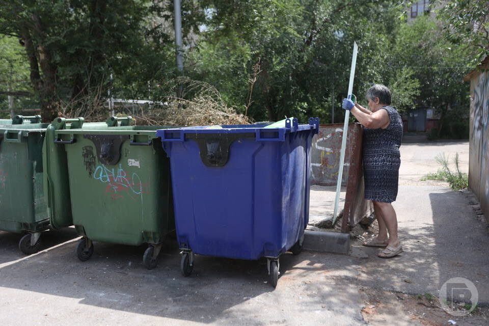    фото: Данил Савченко / "Городские вести"