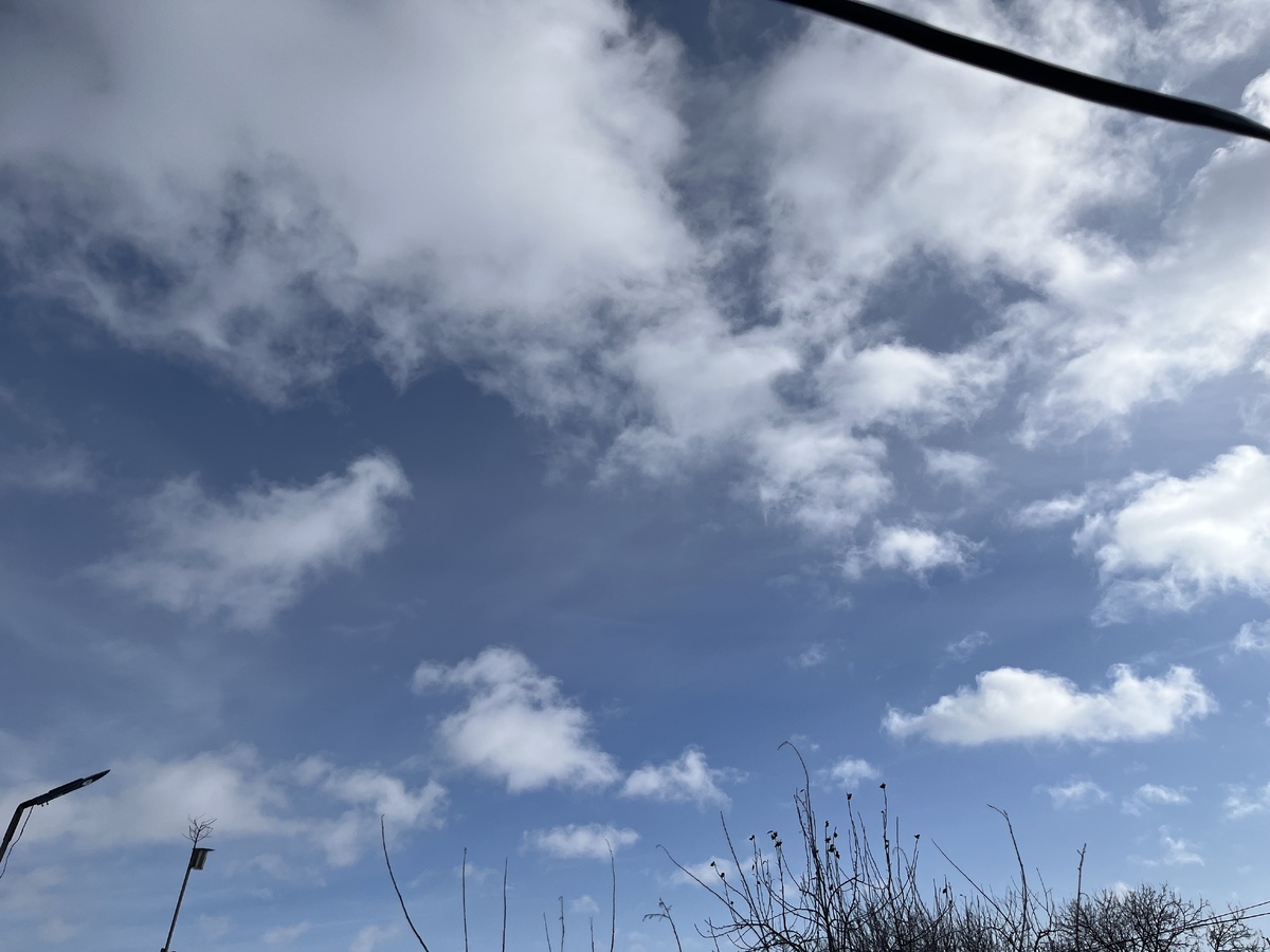 Небо-то вполне весеннее.Голубое!